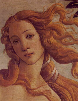 Simonetta Vespucci, The Art of Botticelli
